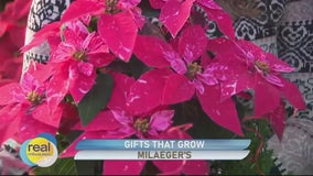 Milaeger's; Gifts for everyone on your list