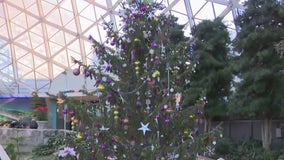 Mitchell Park Domes host 'A Holiday Snow Globe'