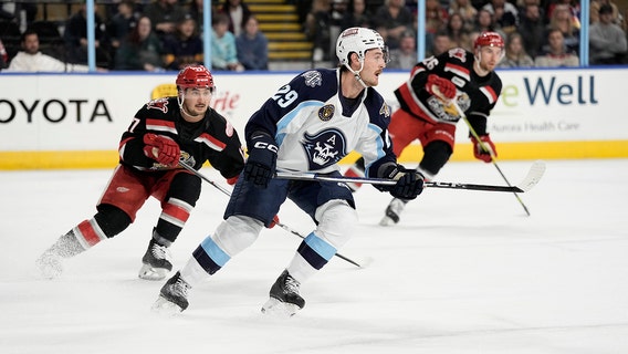 Milwaukee Admirals fall to Griffins, 2nd straight loss