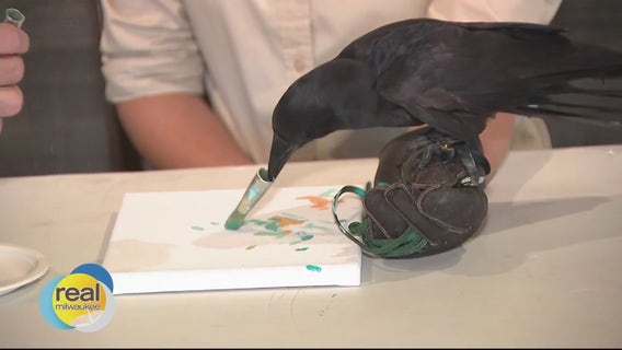 Xtreme Raptor Day at Schlitz Audubon Nature Center