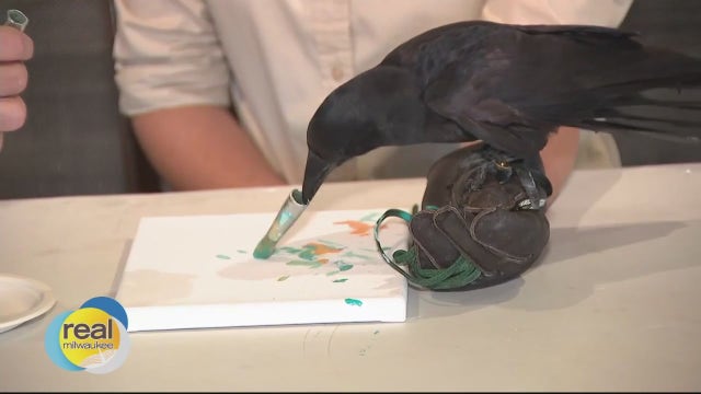 Xtreme Raptor Day at Schlitz Audubon Nature Center