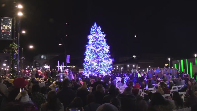 2024 Milwaukee Christmas tree search; DPW accepting nominations