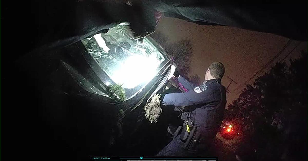 Greenfield police chase, crash video; driver struck utility pole | FOX6 ...