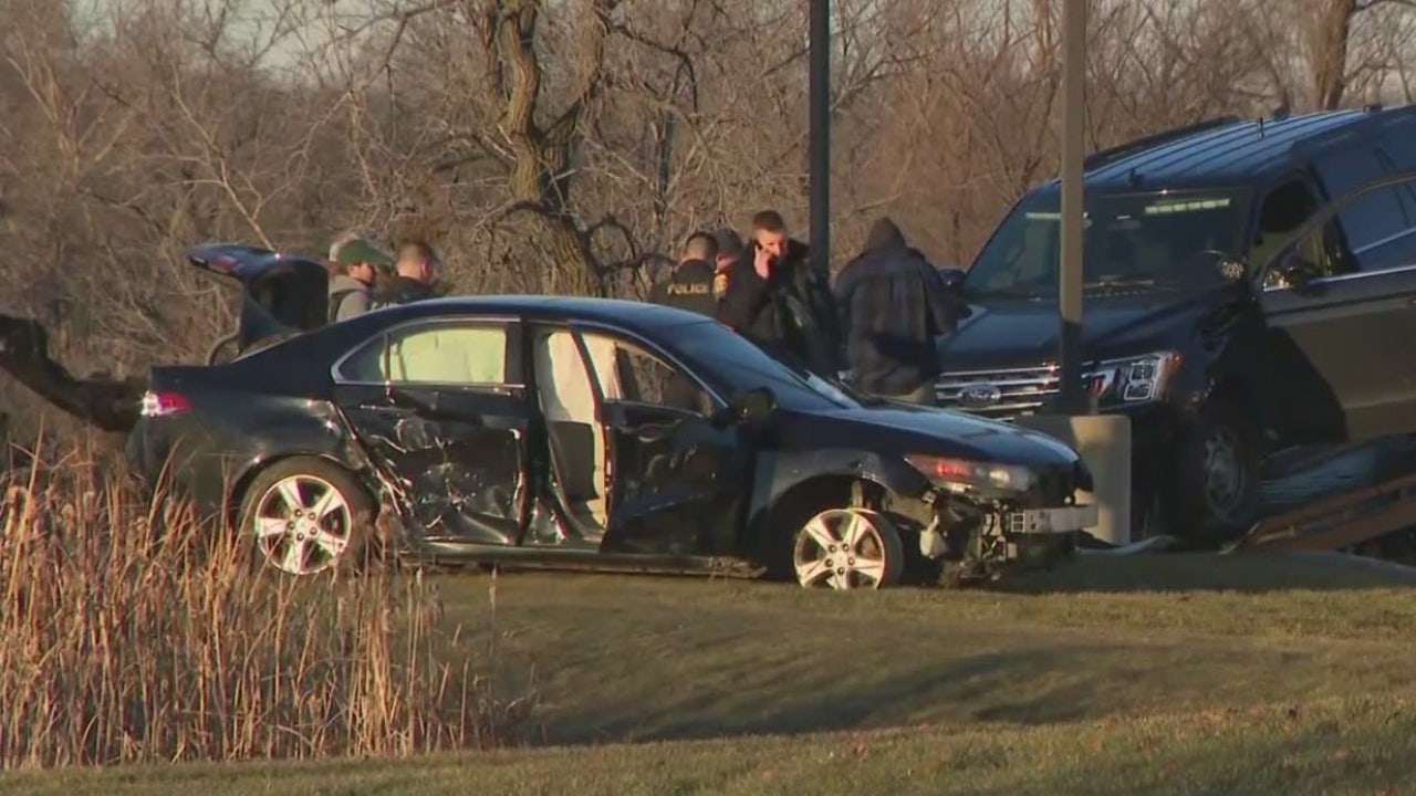 Illinois police chase into Wisconsin, man committed to DHS