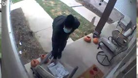 Butler porch pirate stole packages moments after delivery: police