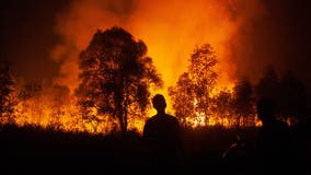 Wildfires may release cancer-causing chromium 6, study reveals