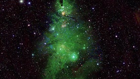 'Christmas Tree Cluster' stars shine bright: 'It's beginning to look a lot like cosmos'