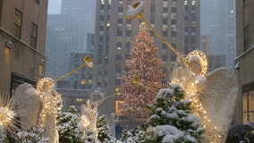 White Christmas chances dwindling as December warmth expected to dominate US weather