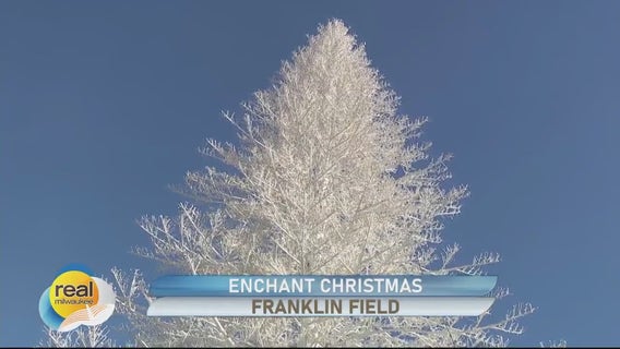 Enchant Christmas; Illuminated winter wonderland