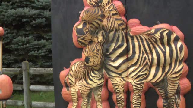 Racine Zoo future; city leaders vote to extend its contract