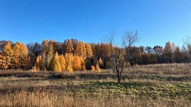 Pike Lake trail closures; DNR announces timber harvest