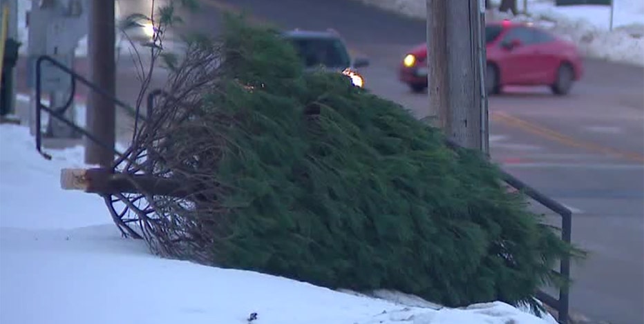Christmas tree collection in Milwaukee; what you need to know in 2025