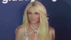 Britney Spears not working on new album