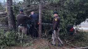 Slinger crash: Driver hit trees, damaged 2 utility poles