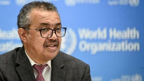 WHO director calls for world pandemic treaty to prepare for Disease X