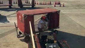 Watch: American Airlines pilot leaves cockpit to assist with luggage loading