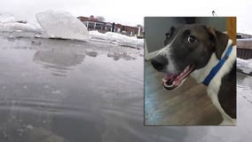 Kenosha Coast Guard dog rescue; 'right place at the right time'
