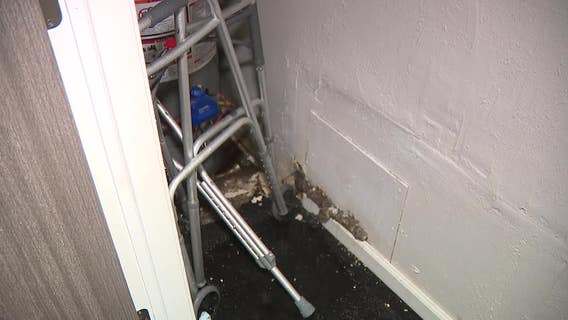 Milwaukee apartment problems; woman shares struggles