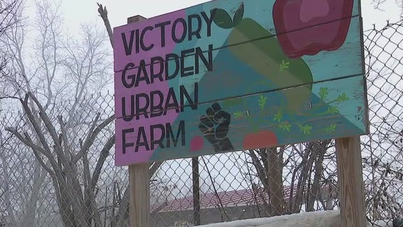 Thefts plaguing Victory Garden Initiative; non-profit seeks help