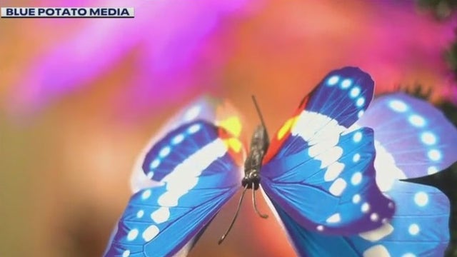 'Unicorn World' at Baird Center