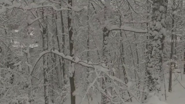 Frigid temps and your health; what you need to know