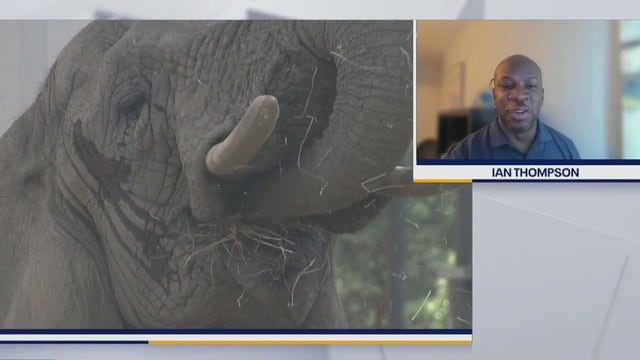 VISIT Milwaukee talks January events, things to do