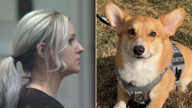 Former Wisconsin dog trainer gets probation, convicted of mistreatment