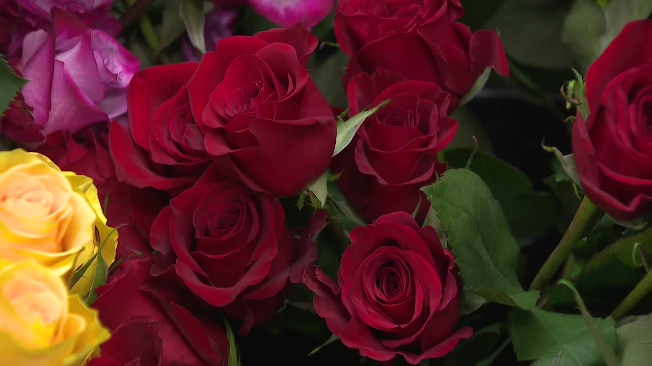 Save on Valentine's Day flowers; how you place order makes difference - Vimarsana News
