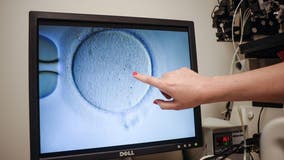 Alabama hospital halts IVF following state ruling saying frozen embryos are children