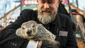 Will Punxsutawney Phil see his shadow Friday on Groundhog Day?