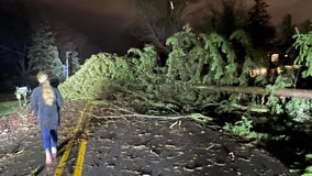Severe weather rocks Chicago area, leaving trail of destruction
