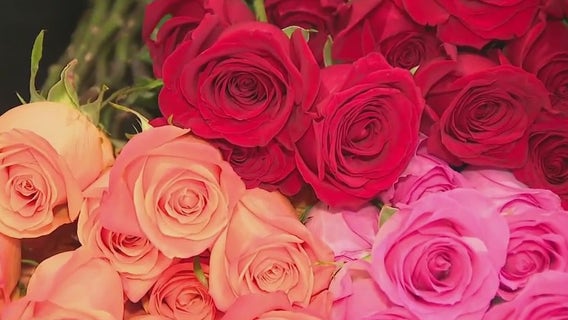 Valentine’s Day: Bank Of Flowers in Menomonee Falls