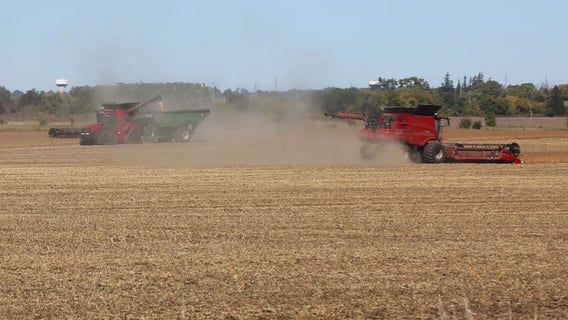 Chlormequat, pesticide linked to infertility, found in Cheerios and Quaker Oats, study claims