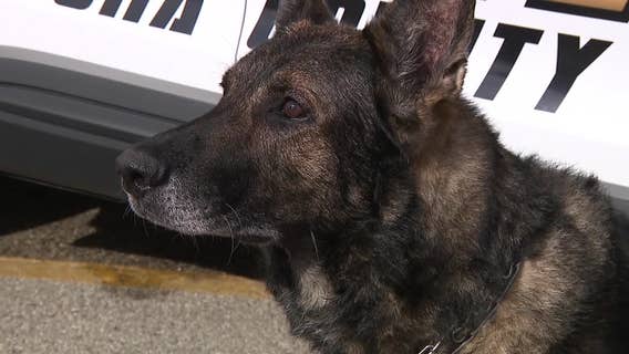 Kenosha County K-9 unit; officials hope to expand unit with public help