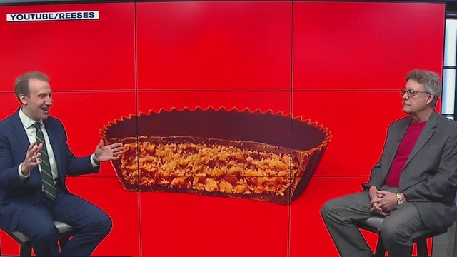 Super Bowl commercials; breakdown of what we saw