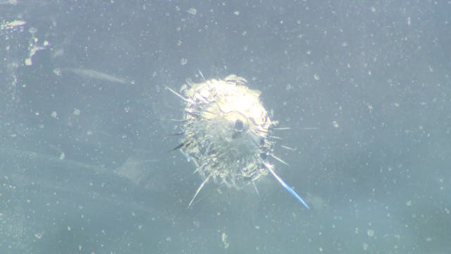 Milwaukee restaurant shot at after GOP candidate holds event there