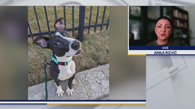 Valentine’s Day with Friends of MADACC at Ope! Brewing Co.