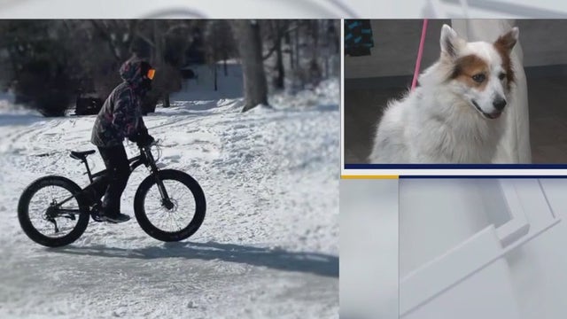 Winter Break at Milwaukee's South Shore Park, full of winter fun