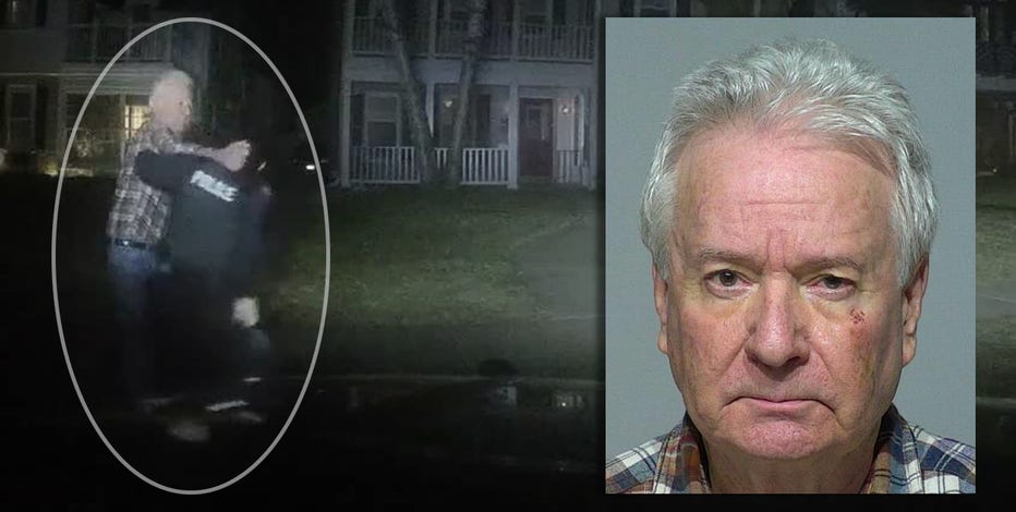 Whitefish Bay police officer punched, man with gun arrested: video