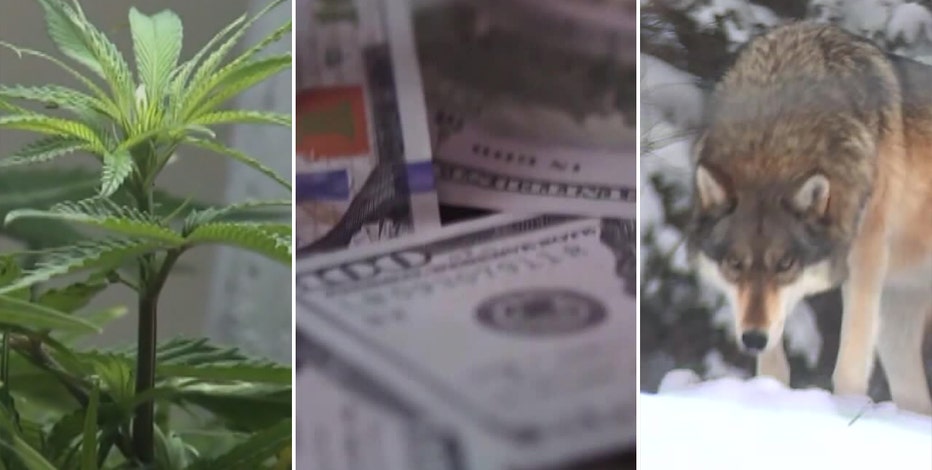 Wisconsin medical marijuana, tax cut among bills still on table