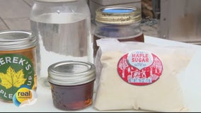 44th Annual Maple Sugar Days at Wehr Nature Center