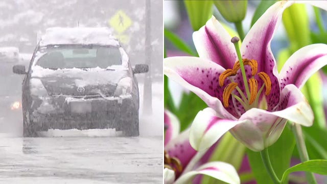 Home & Garden Show: Milwaukee snow welcomes spring event