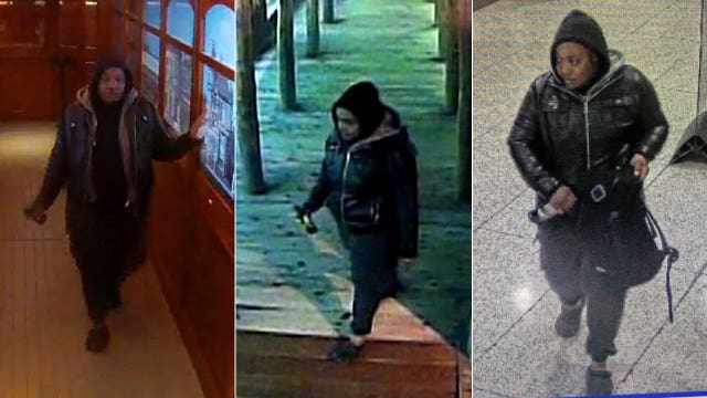 Milwaukee Public Museum burglarized, damage caused; suspect sought