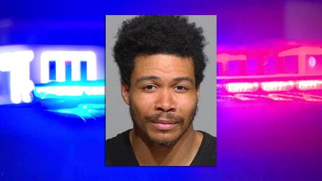 Milwaukee theft, attempted robbery: accused confessed to crimes