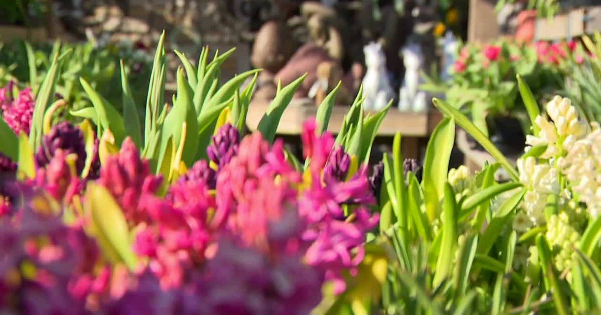 Warm weather in spring; rush to garden | FOX6 Milwaukee