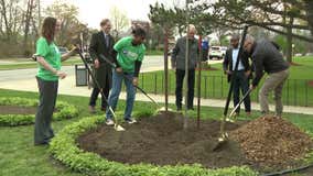 Arbor Day: Milwaukee students, city leaders continue tradition