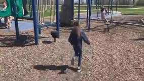Autism 'bolting' danger; child flees Milwaukee classroom twice