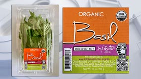 Salmonella infections linked to fresh basil sold in Wisconsin