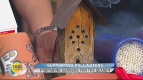 Supporting pollinators in your landscape