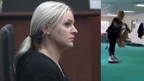 Former Wisconsin dog trainer accused of hurting animal could avoid jail